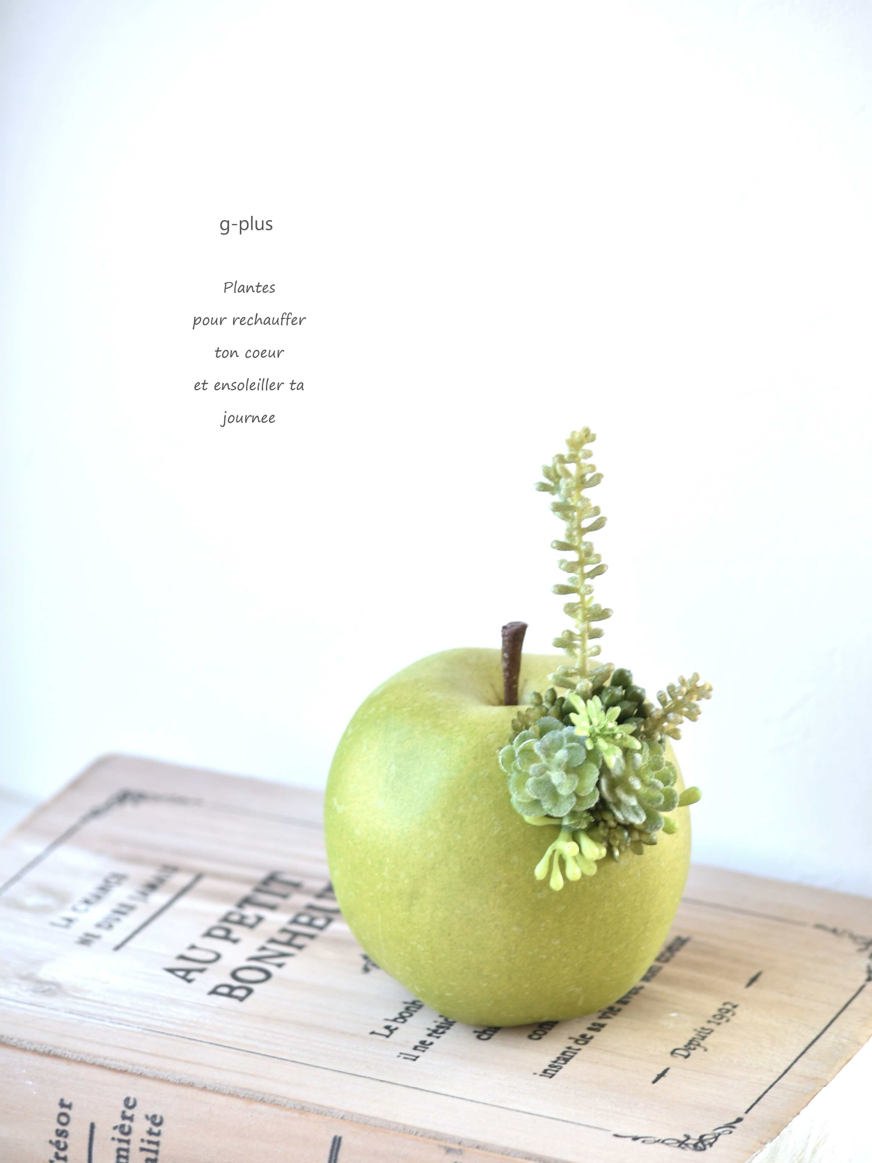 再販 人気 青りんご メモスタンド▫️フェイクグリーン・フェイク多肉植物 アレンジ 再販 人気 青りんご メモスタンド▫️フェイクグリーン・フェイク多肉植物 アレンジ