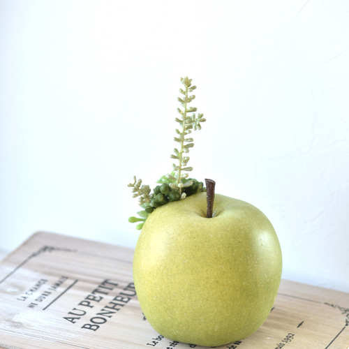 タニクグリーンアップル！？ 青りんごと多肉植物 フェイクグリーン