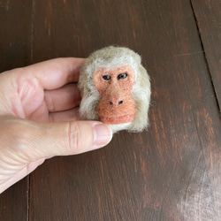 日本猴臉胸針2 第4張的照片