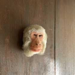 日本猴臉胸針2 第2張的照片