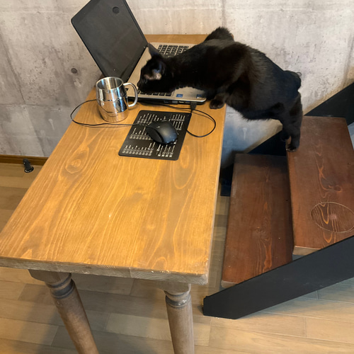 アイアン階段 #猫カフェ テーブル ベンチ DYIロフト製作 オブジェ 
