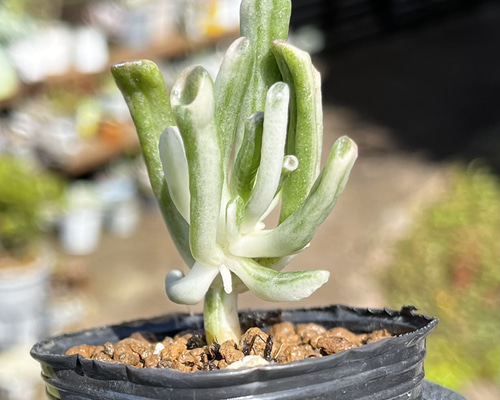 e8d92051c98689e5f58b34539bde3f