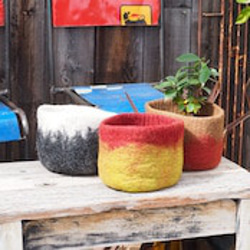 c205685910de5dd981e296efeaa860