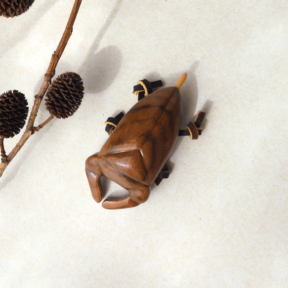 タガメ (★台付き)　 Giant water bug / insect / wood 4枚目の画像