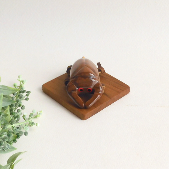 タガメ (★台付き)　 Giant water bug / insect / wood 2枚目の画像