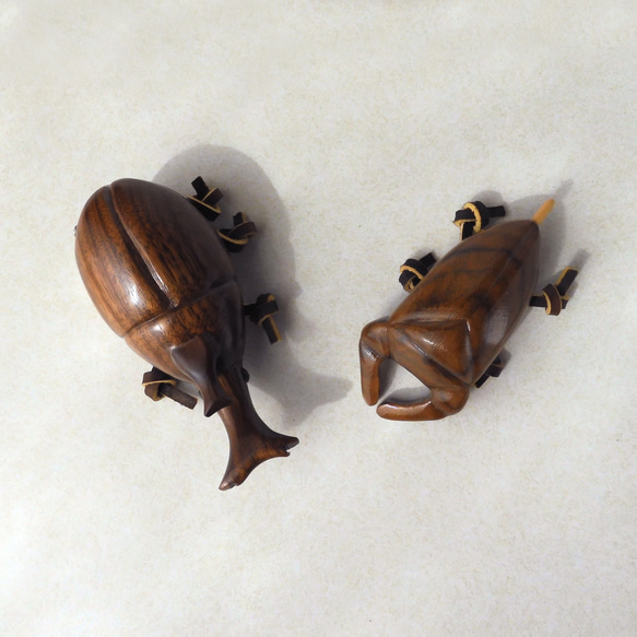 タガメ (★台付き)　 Giant water bug / insect / wood 6枚目の画像