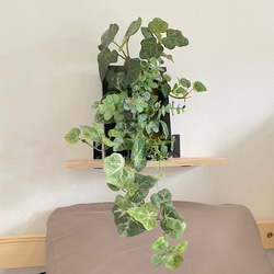 ■フェイクグリーン■ 壁掛け インテリア 観葉植物 グリーン シンプル 造花 本物そっくり　 4枚目の画像