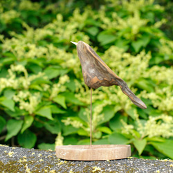 世界へ羽ばたこう　 流木の鳥、木の鳥、かわいい鳥、鳥のオブジェ、鳥グッズ、　（Msaiz）　１５０ 4枚目の画像