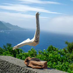 讓我們飛向世界浮木鳥、木鳥、可愛鳥、鳥物品、鳥商品、(L saiz) 130 第5張的照片