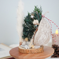 【鳥原様専用です】幸せを呼ぶ実ブッダナッツ〝静寂な森のクリスマス〟クリスマスギフト　クリスマスツリー　木の実ツリー 2枚目の画像
