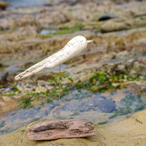 世界へ羽ばたこう　 流木の鳥、木の鳥、かわいい鳥、鳥のオブジェ、鳥グッズ、　（Msaiz）　１４８ 4枚目の画像