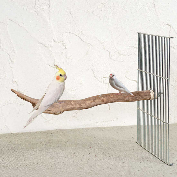 インコ オウム バードアスレチック バードジム 麗し 止り木 流木