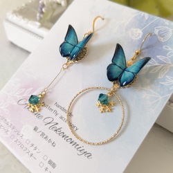 蝶のイヤリング 40e8dd5f4e449f239f3f125a327c93