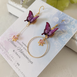 蝶のイヤリング アシンメトリー♪羽ばたく蝶々とスワロフスキーの蝶々ピアス