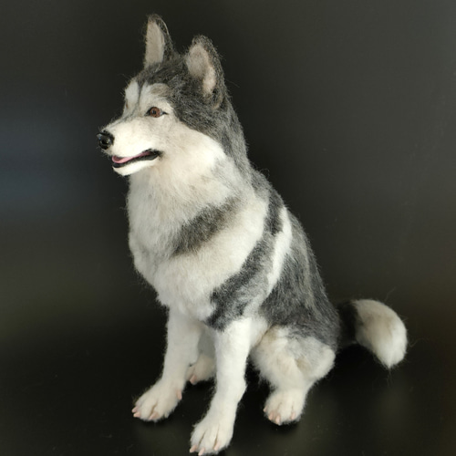 羊毛フェルト シベリアンハスキーさん 羊毛フェルト 羊毛わんこ 福や