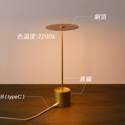  第3張的照片