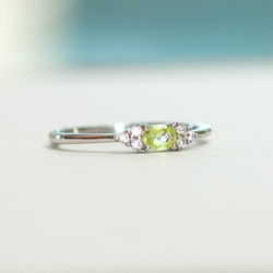 限定品】コーネルピン・シルバーリング 指輪・リング FreeRing 通販