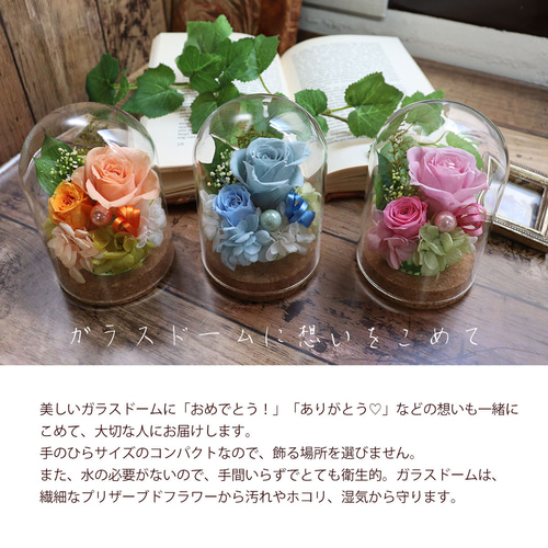 プリザーブドフラワー ガラスドーム フラワー 花 コルク インテリア