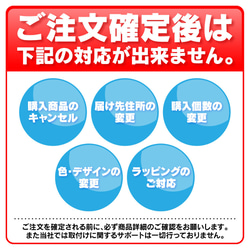 デリカミニ カラビナ アクリルカラビナ ツインカラビナホルダー 雑貨 キーホルダー 車用ギフト 便利グッズ 納車記念 12枚目の画像