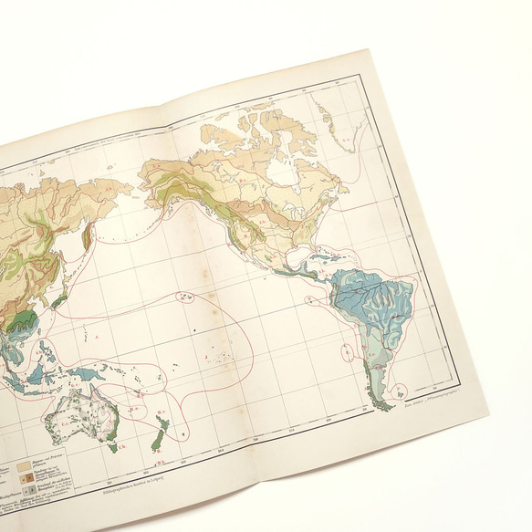 1910年代当時の植物のグループの重要な分布図の地図資料 アンティーク 古地図  図版 マイヤー百科事典 1957-60 3枚目の画像