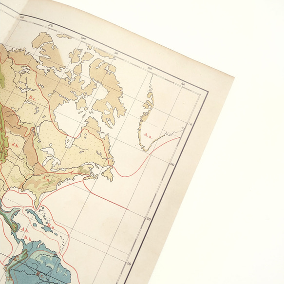 1910年代当時の植物のグループの重要な分布図の地図資料 アンティーク 古地図  図版 マイヤー百科事典 1957-60 8枚目の画像