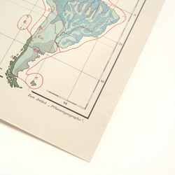 1910年代当時の植物のグループの重要な分布図の地図資料 アンティーク 古地図  図版 マイヤー百科事典 1957-60 9枚目の画像