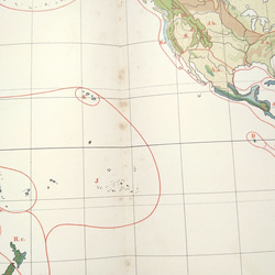 1910年代当時の植物のグループの重要な分布図の地図資料 アンティーク 古地図  図版 マイヤー百科事典 1957-60 10枚目の画像