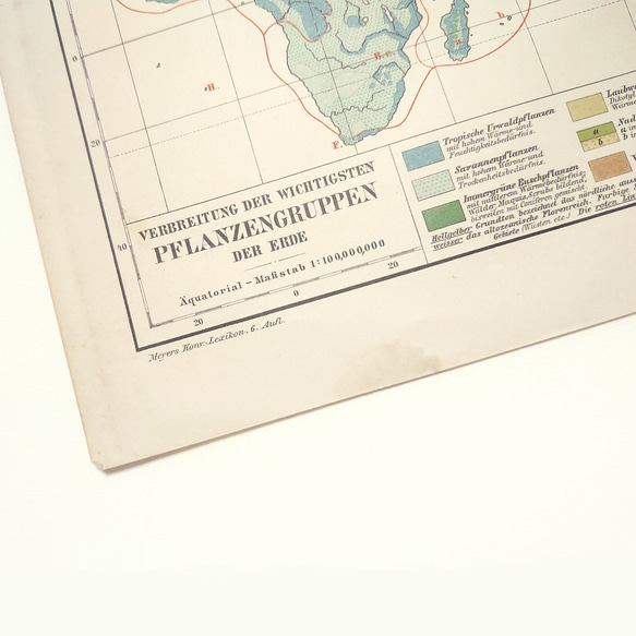 1910年代当時の植物のグループの重要な分布図の地図資料 アンティーク 古地図  図版 マイヤー百科事典 1957-60 12枚目の画像