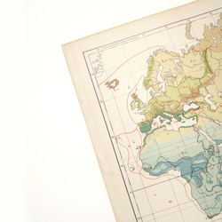 1910年代当時の植物のグループの重要な分布図の地図資料 アンティーク 古地図  図版 マイヤー百科事典 1957-60 6枚目の画像