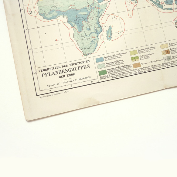 1910年代当時の植物のグループの重要な分布図の地図資料 アンティーク 古地図  図版 マイヤー百科事典 1957-60 4枚目の画像