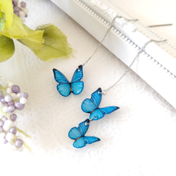 蝶々チャーム ♪マスクチャーム。アゲハ蝶、オオルリアゲハ、モルフォ