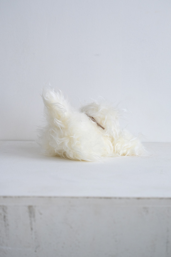 猫ぬいぐるみ(のびのびぬいぐるみ）long white ｀ S 4枚目の画像