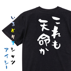 三国志系半袖Tシャツ【これも天命か】おもしろTシャツ　ネタTシャツ 2枚目の画像