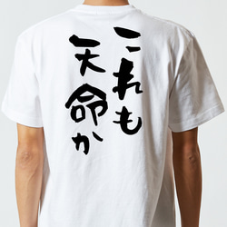 三国志系半袖Tシャツ【これも天命か】おもしろTシャツ　ネタTシャツ 5枚目の画像