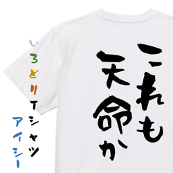 三国志系半袖Tシャツ【これも天命か】おもしろTシャツ　ネタTシャツ 1枚目の画像