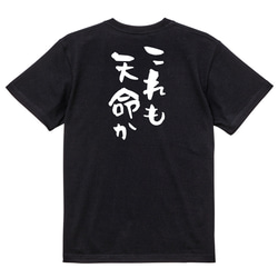 三国志系半袖Tシャツ【これも天命か】おもしろTシャツ　ネタTシャツ 4枚目の画像