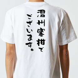 三国志系半袖Tシャツ【温州蜜柑でございます。】おもしろTシャツ　ネタTシャツ 5枚目の画像