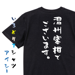 三国志系半袖Tシャツ【温州蜜柑でございます。】おもしろTシャツ　ネタTシャツ 2枚目の画像