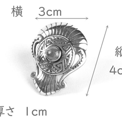  第3張的照片