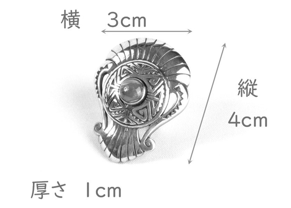  第3張的照片