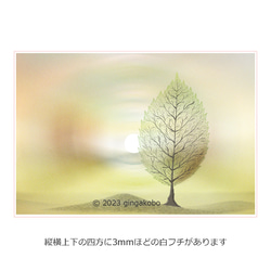 「秋の謎解き」　ほっこり癒しのイラストポストカード2枚組No.072 1枚目の画像