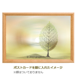 「秋の謎解き」　ほっこり癒しのイラストポストカード2枚組No.072 2枚目の画像