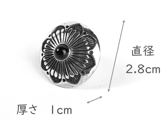  第3張的照片