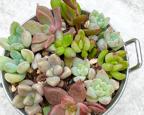 93d9c04a7dddf639da10402085ec74