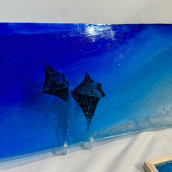 新作　壁掛けアートパネル マンタの海　オニイトマキエイ　ペア　ブルーシー水中76×30 6枚目の画像