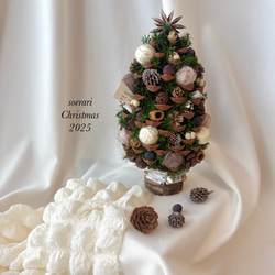 【SOLD】森の三日月クリスマスリース 再販12】クリスマスリース 静かな森の三日月リース リース soerari