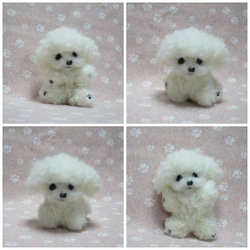 羊毛フェルト 犬 ポメラニアン 白 ホワイト 置物 羊毛フェルト 羊毛フェルト 犬 ポメラニアン 白 ホワイト 置物 羊毛フェルト