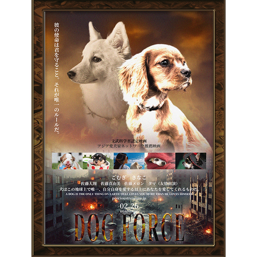(専用出品) 映画ポスター 5点セット 03305『ザ・ビーチ』B2判映画ポスター非売品劇場公開時