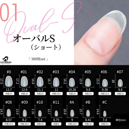 ネイルチップ オーダー ネイルチップ（つけ爪） ゆん 通販 16680646