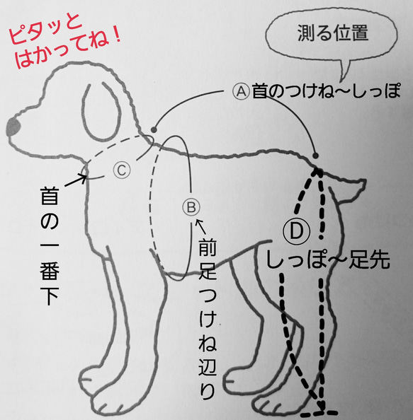 ミルクティー色のあったか❤あみこみニット＋パンツ❤️S～L 9枚目の画像